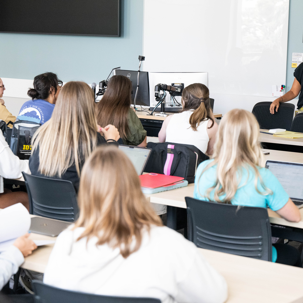 Reiterative Teaching Practices to Support Learning promotional image