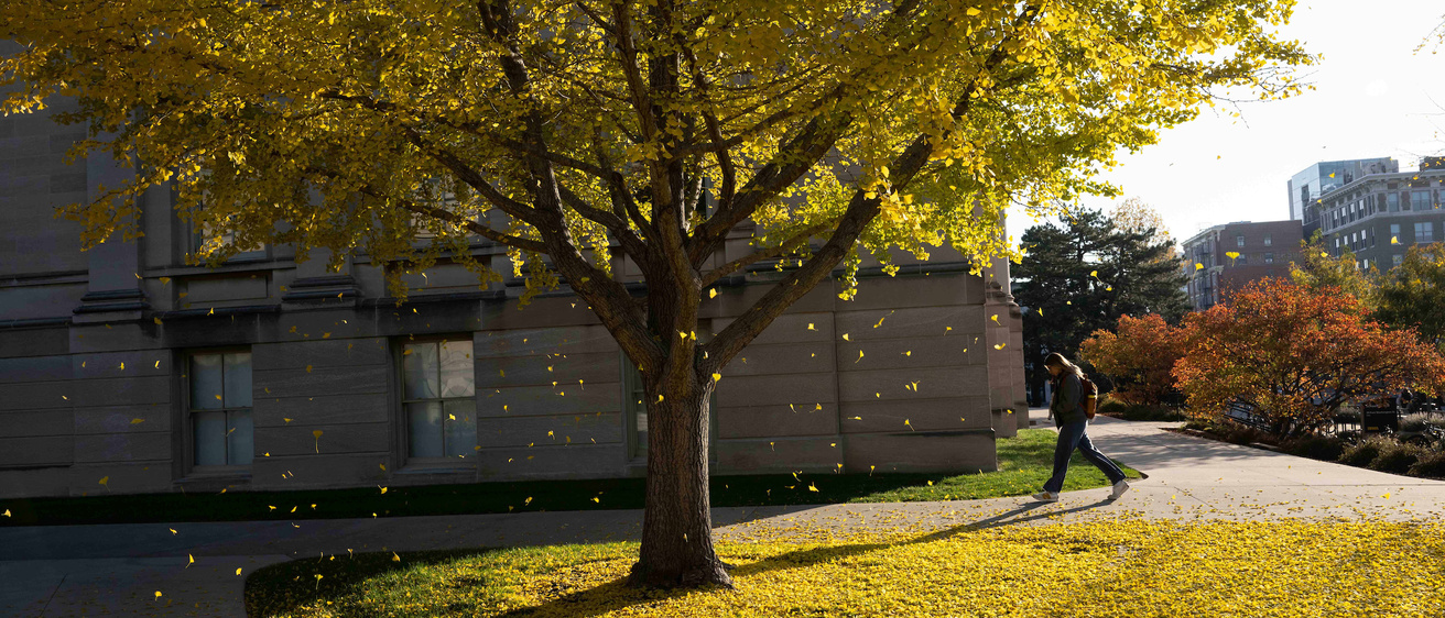 Fall on campus